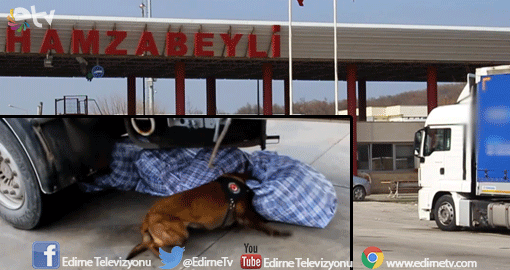 1 MİLYONLUK YAKALAMA