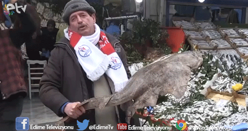 15 KİLOLUK KELER ALICISINI BEKLİYOR
