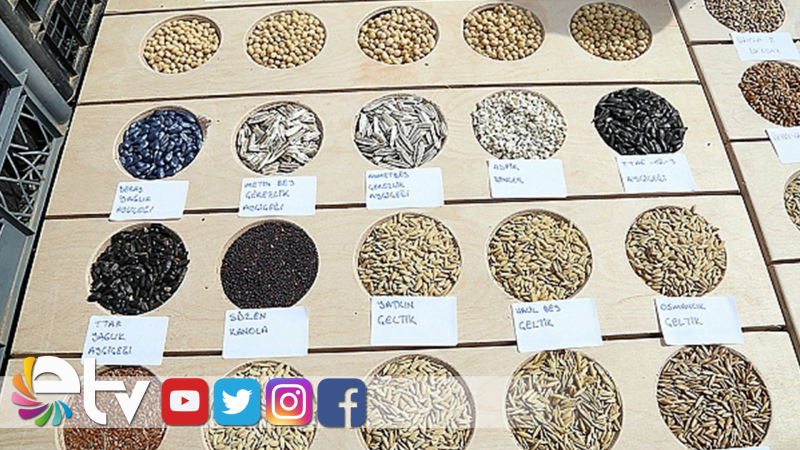 2. TOHUM TAKAS ŞENLİĞİ İPTAL EDİLDİ