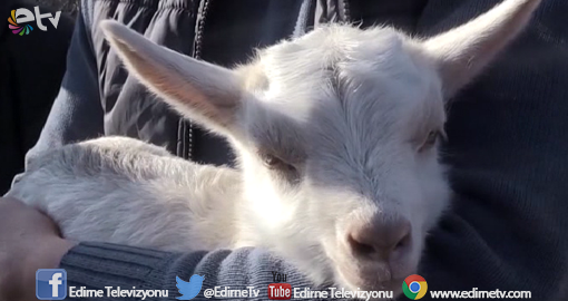 ANNESİNİN SESİ OLDU