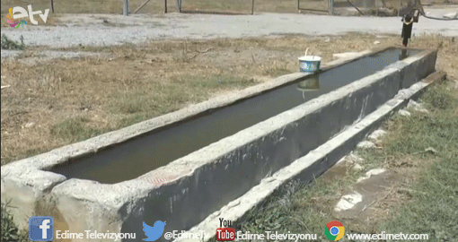 ANTİK KAYNAKLARA GÖRE ŞİFALİ SU