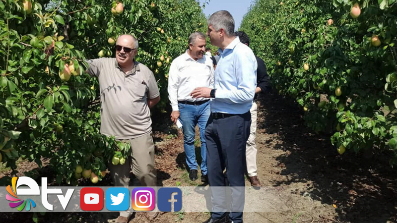 ARMUT HASADI BAŞLADI