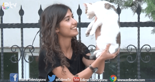 ARTAN YEMEKLERLE KEDİLERİ BESLİYO