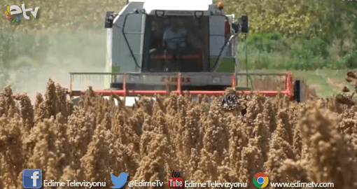 ASTRONOT YİYECEĞİ HASAT EDİLDİ