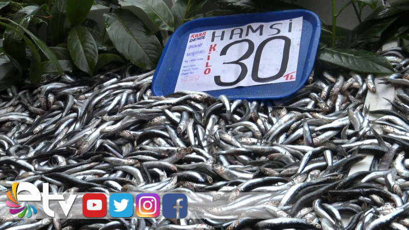 AV SEZONU BİTERKEN HAMSİNİN FİYATI DÜŞTÜ