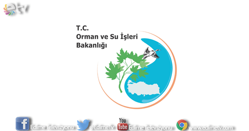 BAKANLIKTAN ERGENE AÇIKLAMASI
