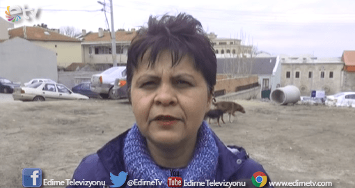 BALIK ÖLÜMLERİ İÇİN SUÇ DUYURUSU!