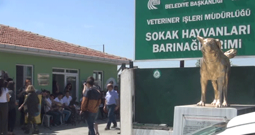 BARINAĞI GÜZELLEŞTİRDİLER