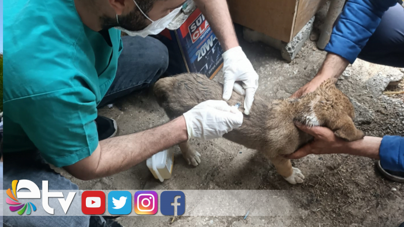 BELEDİYE BAKIMLARINI YAPTI VATANDAŞLAR SAHİPLENDİ