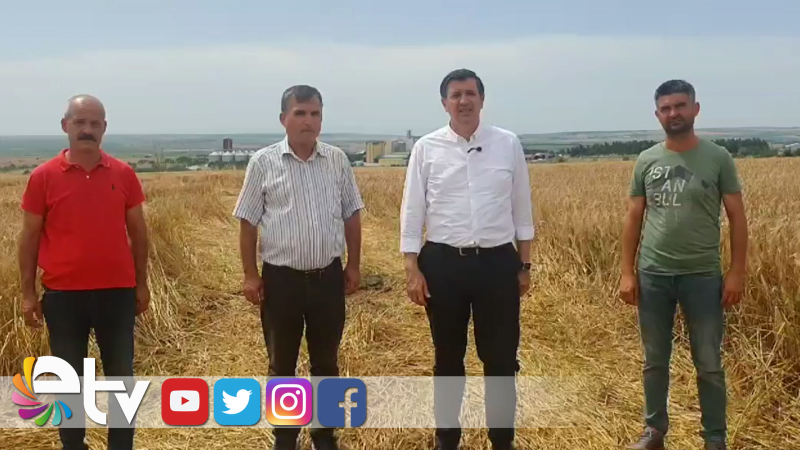 BUĞDAY EKİLİ TARLALARDA PETROL VE DOĞALGAZ ARADILAR