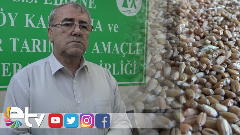 BUĞDAY FİYATI ÇETİKLE YARIŞIYOR