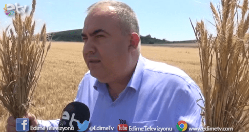 BUĞDAY İTHALATI ÇİFTÇİYİ BİTİRİR