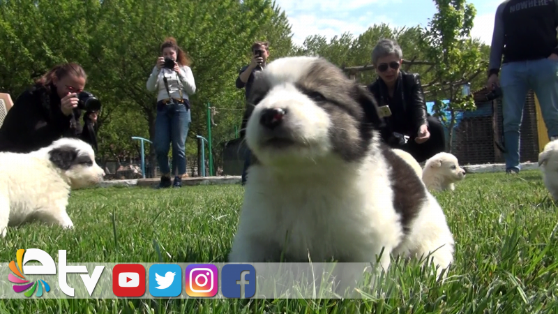 “BURADA SEVGİ İKLİMİ VAR”