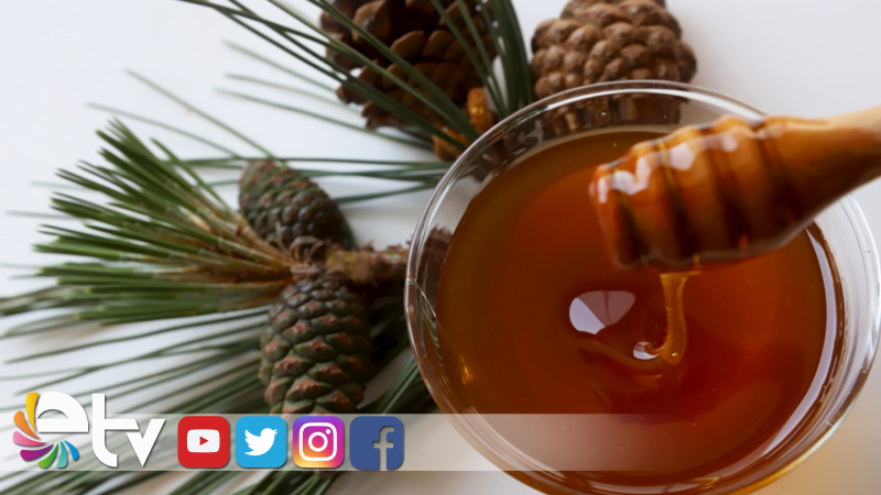 ÇAM BALI ÜRETİMİ TEHLİKE ALTINDA