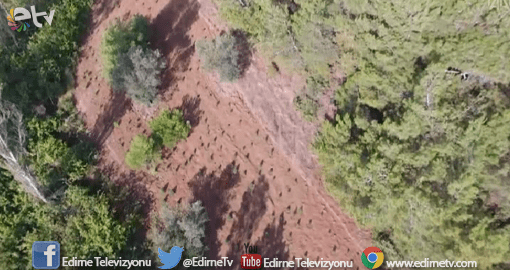 ÇANAKKALE'DE DRONE DESTEKLİ HİNT KENEVİRİ OPERASYONU