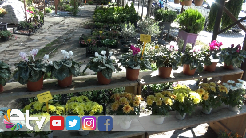 ÇİÇEKLERDEN KASIMPATI ZAMANI