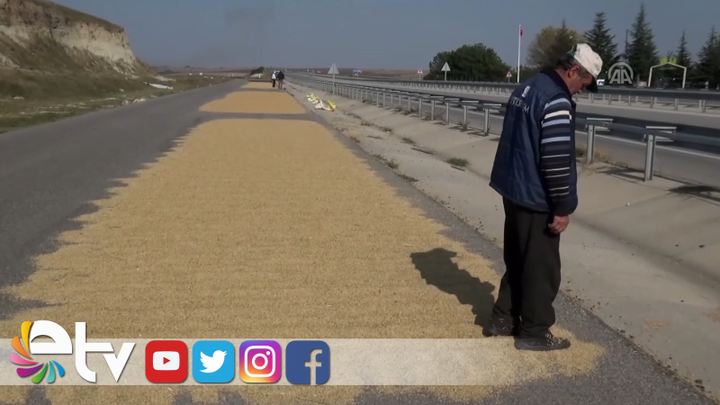 ÇİFTÇİ ÇELTİĞİ KURUTMAK İÇİN