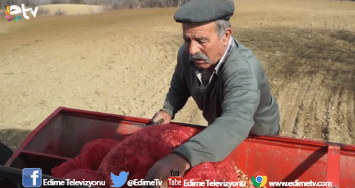 ÇİFTÇİNİN “SOĞAN” MESAİSİ BAŞLADI
