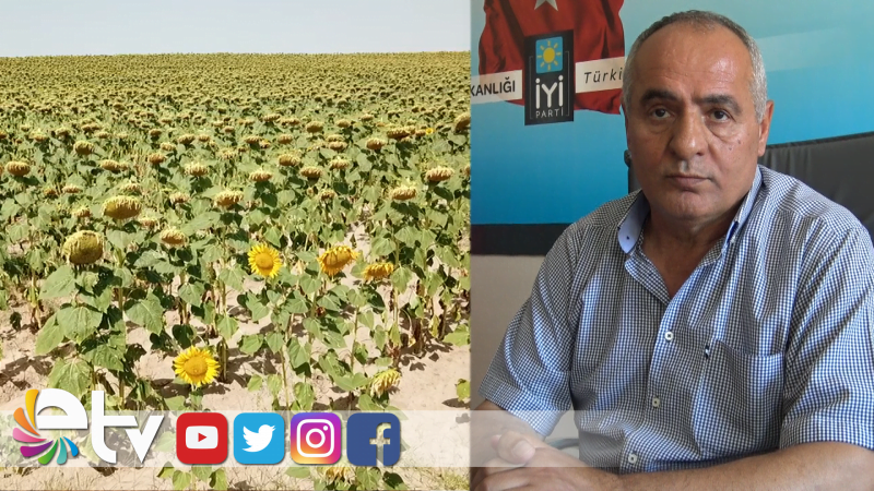 DEMİR: AYÇİÇEĞİ FİYATI 6 LİRA OLMALI