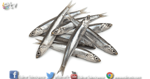 DENİZLERİN KURU FASULYESİ