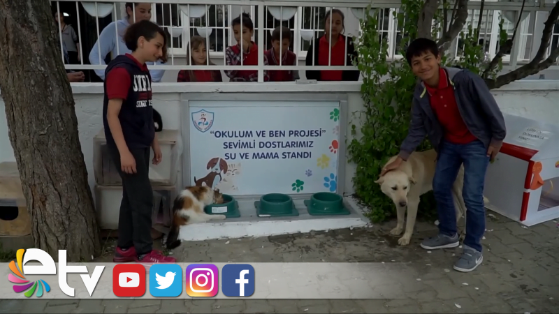 DERS ARALARINDA SOKAK HAYVANLARINI BESLİYORLAR