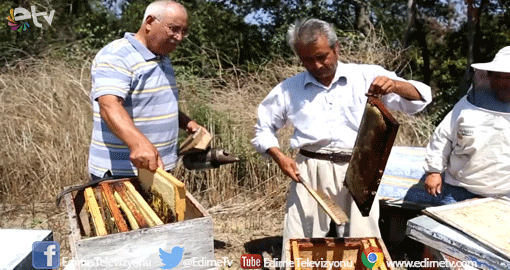 DOĞRU İLAÇLAMA ARI ÖLÜMLERİNİ ENGELLEDİ