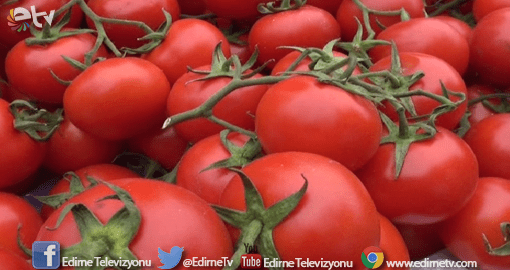 DOMATES FİYATLARI DÜŞTÜ
