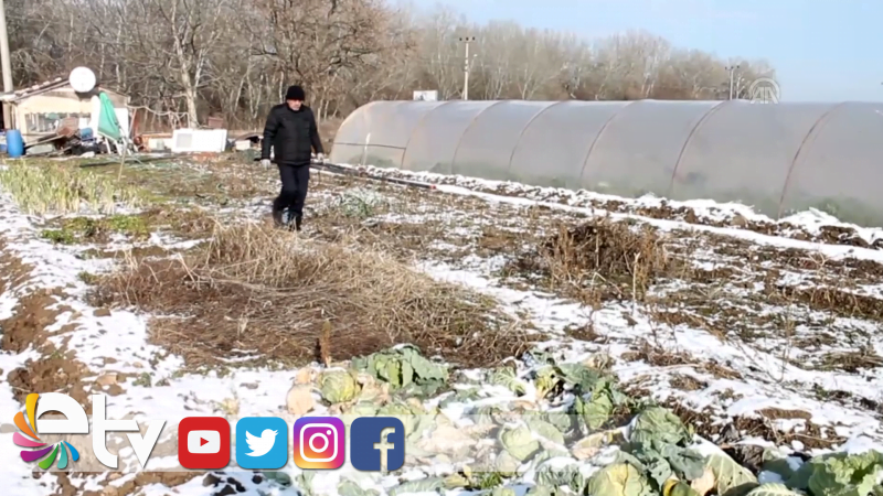 DONDURUCU SOĞUKTA GEÇİM MÜCADELESİ