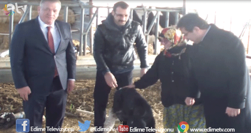 DÜN BİRDİ