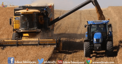 EDİRNE BUĞDAY ÜRETİMİNDE 12. SIRADA