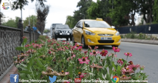 EDİRNE ÇİÇEKLERLE RENKLENECEK