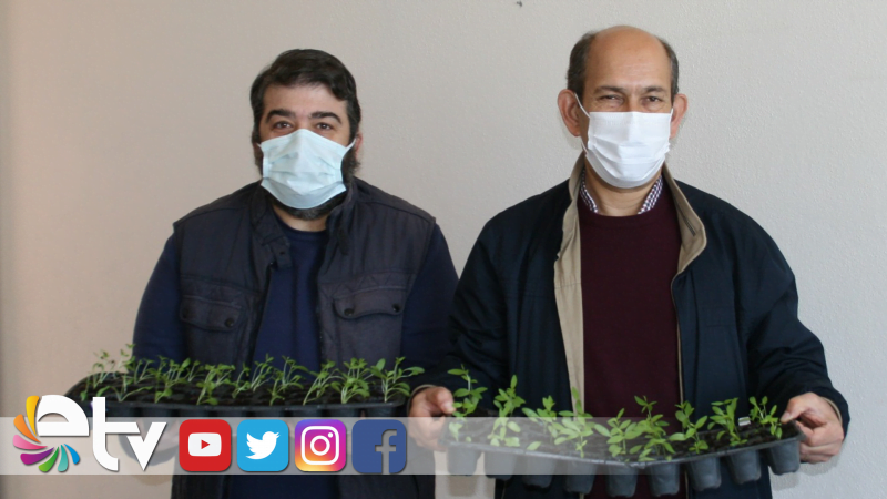 EDİRNE KIRMIZISININ ELDE EDİLDİĞİ BİTKİ TOPRAKLA BULUŞACAK