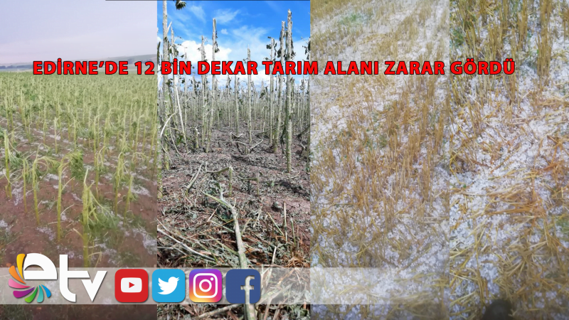 EDİRNE’DE 12 BİN DEKAR TARIM ALANI ZARAR GÖRDÜ