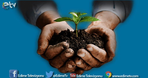 'EDİRNE'DE BİR DİKİLİ AĞACIM OLSUN'