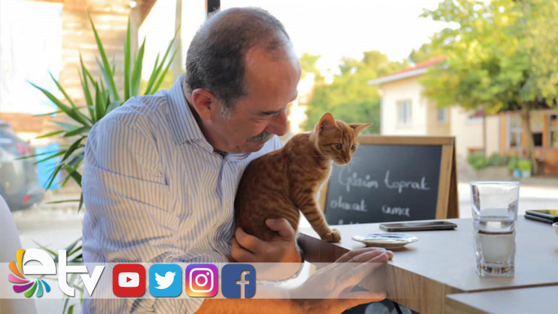 EDİRNE’DE SOKAK HAYVANLARI TOPLANMAYACAK