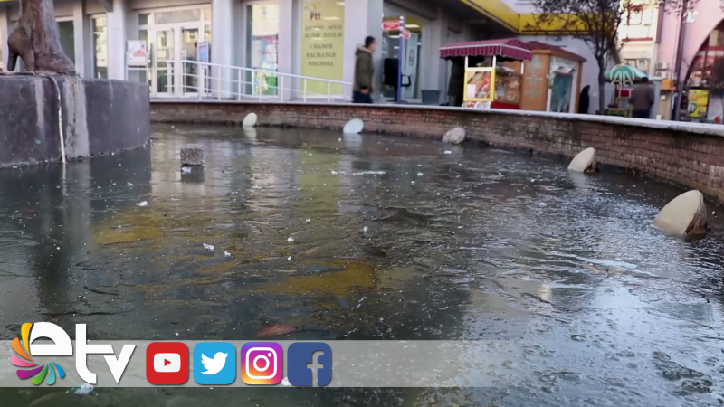EDİRNE’DE SÜS HAVUZLARI BUZ TUTTU