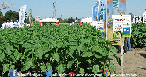 EDİRNE’DE TARLA GÜNÜ YAPILDI