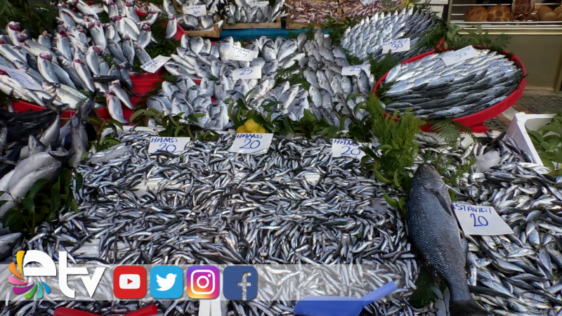 EN UCUZ BALIK 20 LİRA