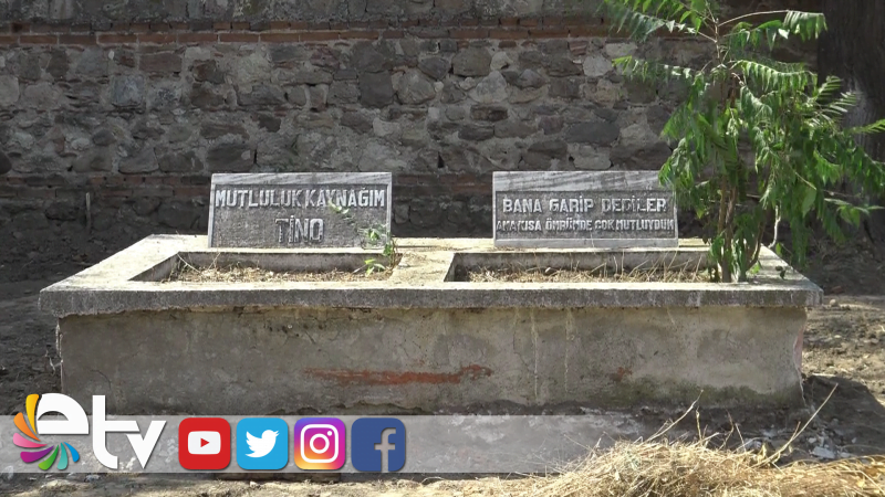 ESKİ FABRİKA BAHÇESİNDE 2 KÖPEK MEZARI BULUNDU