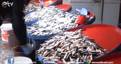 FIRTINA BALIK FİYATLARINI VURDU