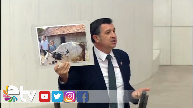 GAYTANCIOĞLU: İNEKLER DE HACZEDİLİR Mİ?