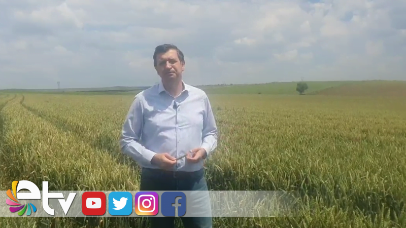 GAYTANCIOĞLU: KENDİ ÜRETİCİMİZİ KÜSTÜRMEYELİM