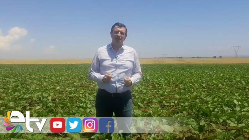 GAYTANCIOĞLU: ÜRETİCİYİ NASIL KORUYACAĞIZ?