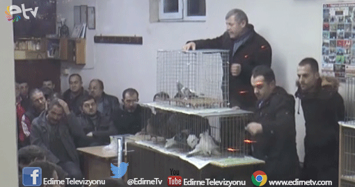 GÜVERCİN MEZADININ GELİRİ HALEPLİLERE