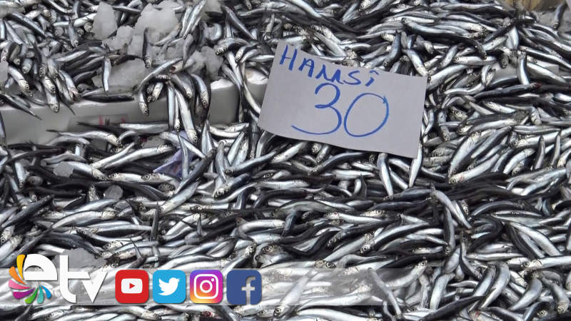 HAMSİ BOL OLUNCA FİYATI DÜŞTÜ