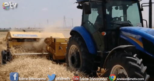 HASAT VE BALYA BAĞLAMA FİYATLARI BELLİ OLDU