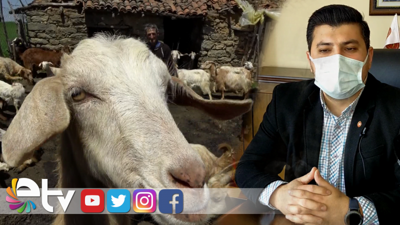 HAYVANLARDA KORONAVİRÜSÜN BELİRTİLERİ NELER?