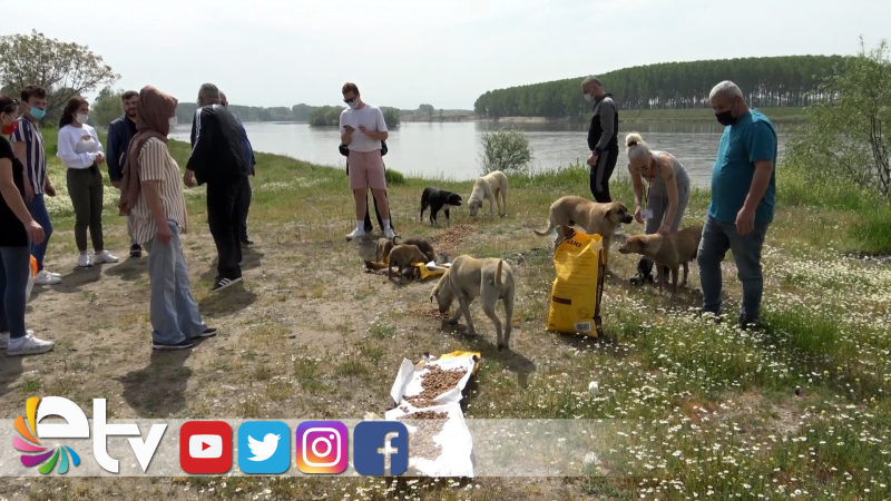 HAYVANSEVERLER TAM KAPANMADA SOKAK HAYVANLARINI BESLEDİ