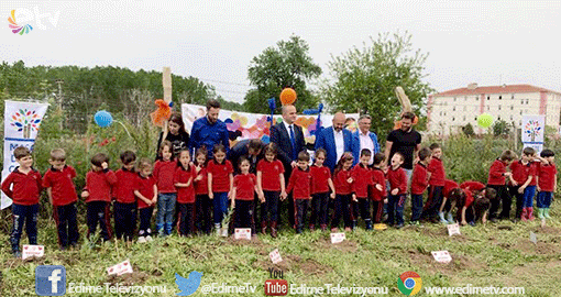 HER MİNİĞİN BİR AĞACI OLDU