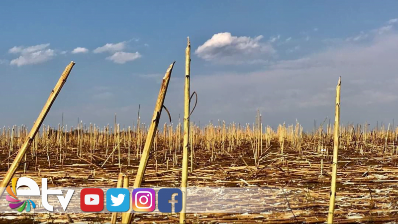 HIRSIZLIĞIN BÖYLESİ!